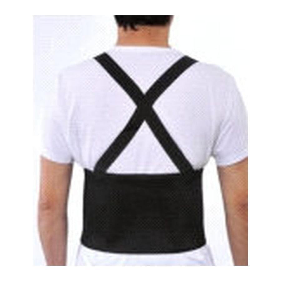 Back support belt with suspenders, rear view
